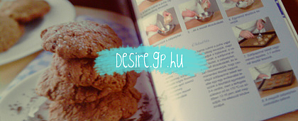 //desire.gportal.hu/portal/desire/image/gallery/1373113681_63.png