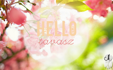 //desire.gportal.hu/portal/desire/image/gallery/1393848110_78.png